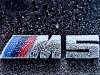 M5 Frozen Emblem